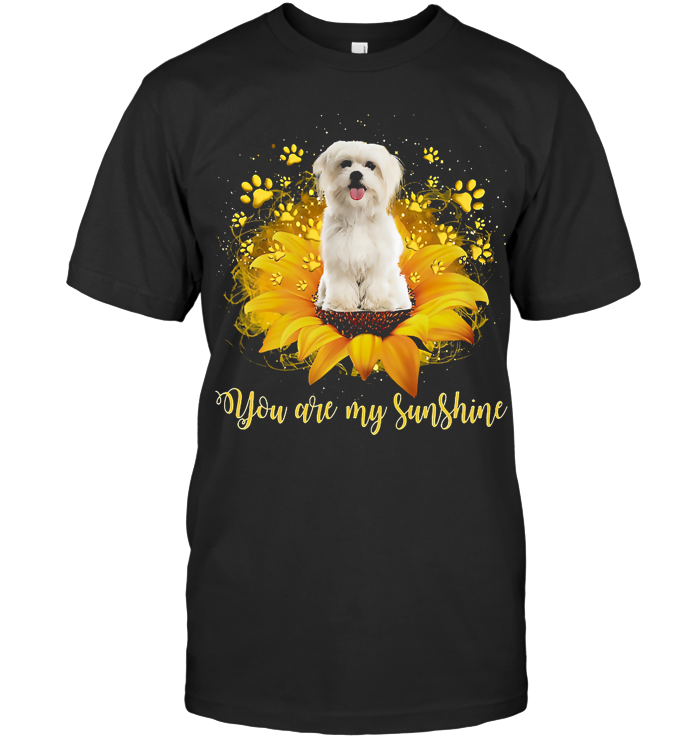 Maltese You Are My Sunshine T Shirt