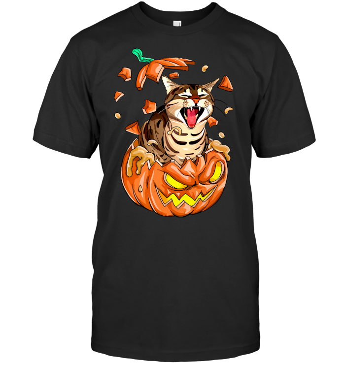 Cat Halloween Inside Pumpkin T Shirt - from birthstonedeals.info 1