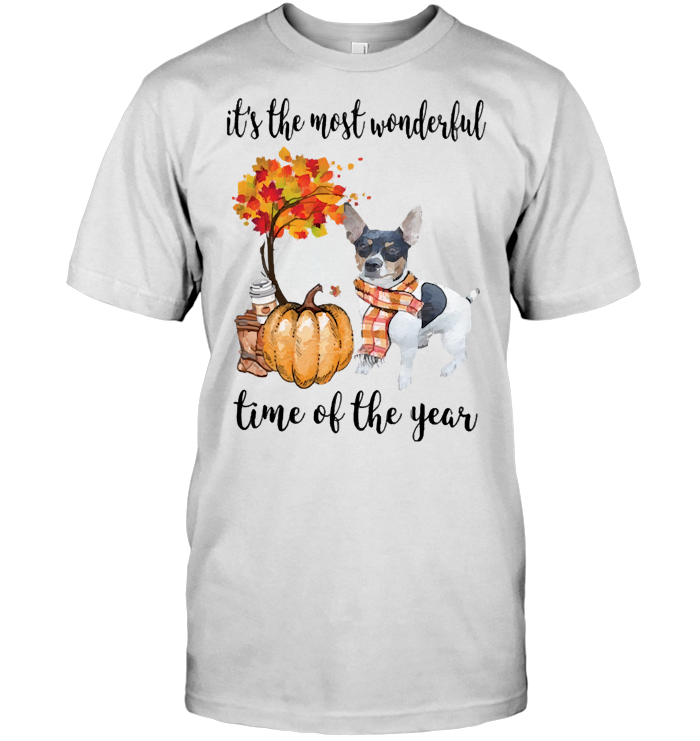 Fall Pumpkin It's The Most Wonderful Time Of The Year Rat Terrier T Shirt - from marcazo.info 1